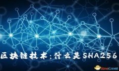 了解区块链技术：什么是SHA256算法？