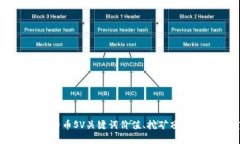 区块链BSV是什么？详解比特币SV关键词价值、挖矿