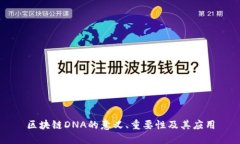 区块链DNA的意义、重要性及其应用