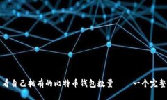 如何查看自己拥有的比特币钱包数量——一个完