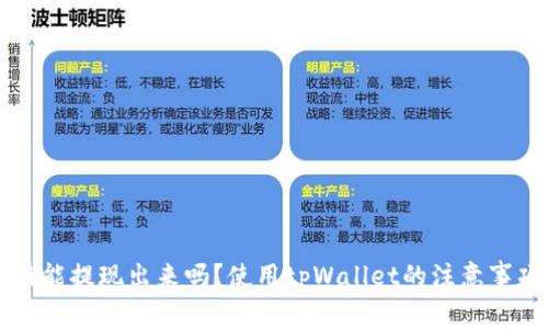 tpWallet现在能提现出来吗？使用tpWallet的注意事项及解决办法