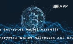 How to fill in an encrypted wallet address?Understanding Enc