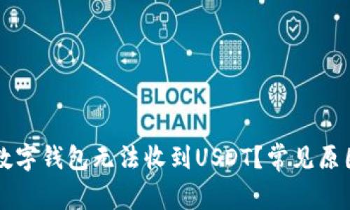 为什么我的数字钱包无法收到USDT？常见原因及解决方法