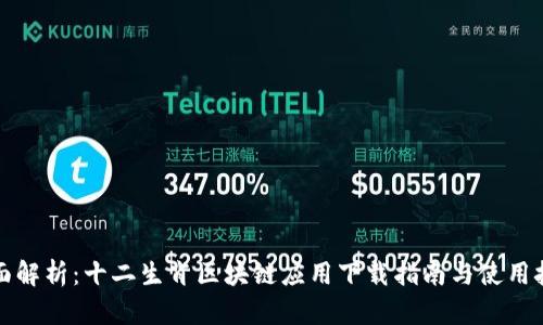 全面解析：十二生肖区块链应用下载指南与使用技巧