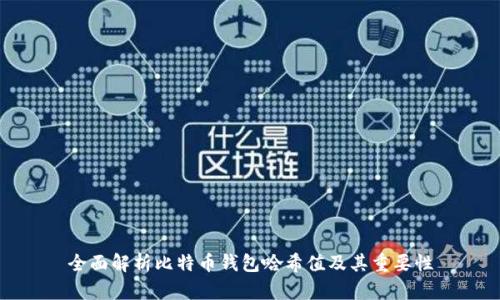 全面解析比特币钱包哈希值及其重要性