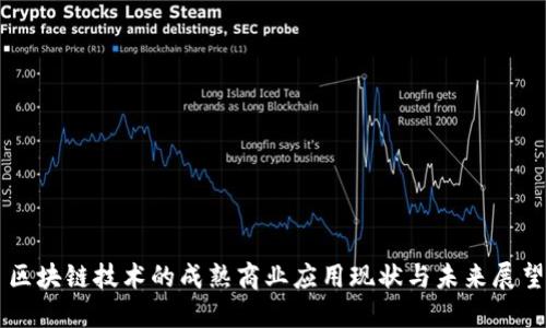 区块链技术的成熟商业应用现状与未来展望