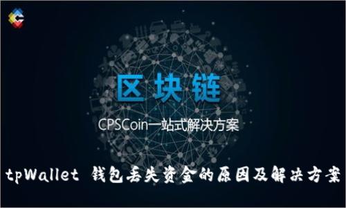 tpWallet 钱包丢失资金的原因及解决方案