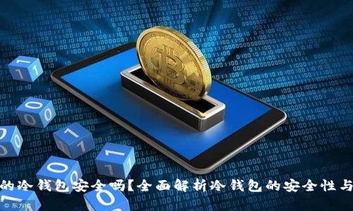 TP上的冷钱包安全吗？全面解析冷钱包的安全性与风险