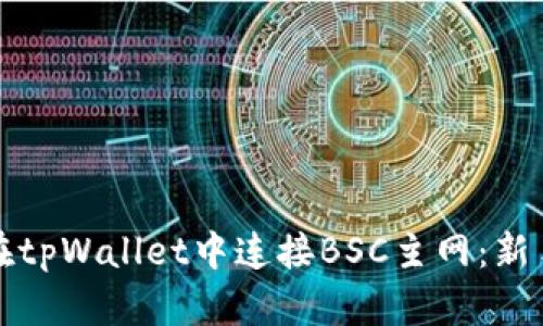 如何在tpWallet中连接BSC主网：新手指南