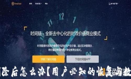 
tpWallet删除后怎么办？用户必知的恢复与数据保护方法