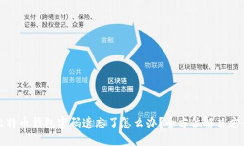 比特币钱包密码遗忘了怎么办？全方位解决方案