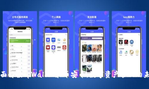 全面解读tpWallet和币安币：数字资产管理的未来