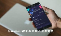 tpWallet：探索其公链与应用