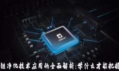 区块链净化技术应用的全面解析：学什么才能把
