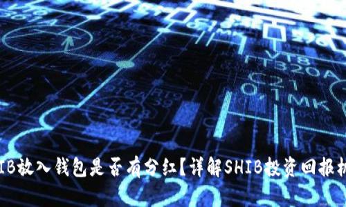 SHIB放入钱包是否有分红？详解SHIB投资回报机制