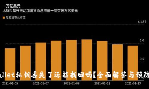 tpWallet私钥丢失了还能找回吗？全面解答与预防措施