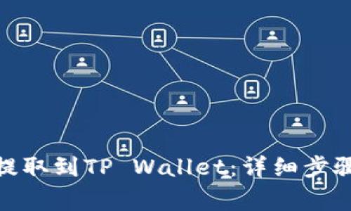 如何将BNB提取到TP Wallet：详细步骤与注意事项