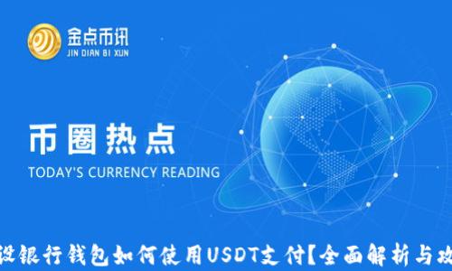 
建设银行钱包如何使用USDT支付？全面解析与攻略