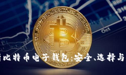 全面解析比特币电子钱包：安全、选择与使用指南