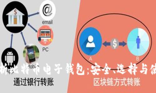 全面解析比特币电子钱包：安全、选择与使用指南