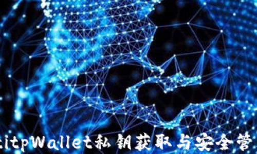 
bianltitpWallet私钥获取与安全管理指南