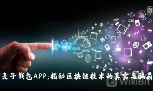 麦子钱包APP：揭秘区块链技术的真实与骗局