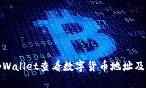 如何使用tpWallet查看数字货币地址及其详细信息
