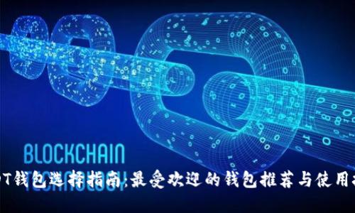 USDT钱包选择指南：最受欢迎的钱包推荐与使用技巧
