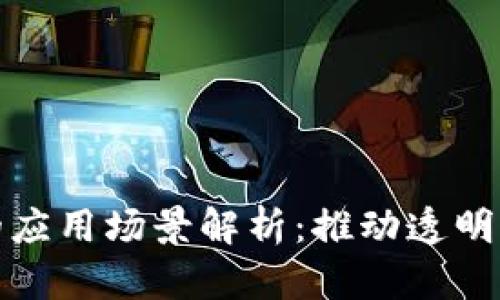 区块链数字政务的应用场景解析：推动透明与高效的政府服务