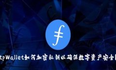 tpWallet如何加密私钥以确保数字资产安全？