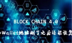 : tpWallet地址删了之后还能恢复吗？