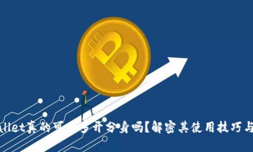 tpWallet真的可以多开分身吗？解密其使用技巧与限制
