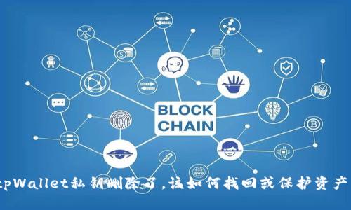 tpWallet私钥删除了，该如何找回或保护资产？
