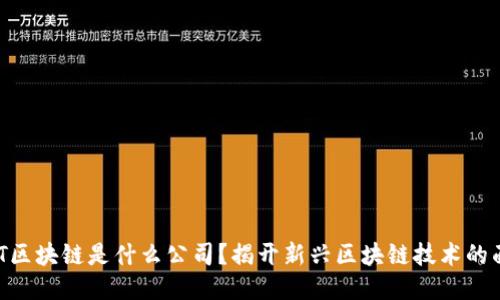 NNT区块链是什么公司？揭开新兴区块链技术的面纱