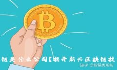 NNT区块链是什么公司？揭