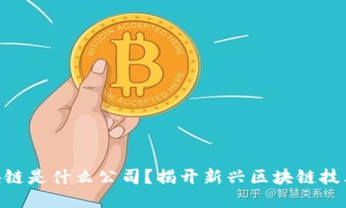 NNT区块链是什么公司？揭开新兴区块链技术的面纱