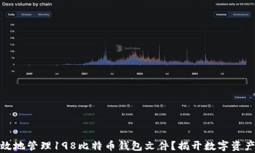 
如何安全有效地管理198比特币钱包文件？揭开数字资产的神秘面纱