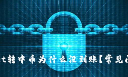 tpWallet转中币为什么没到账？常见问题解析