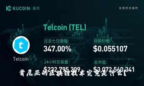 肯尼亚的区块链技术究竟是什么？