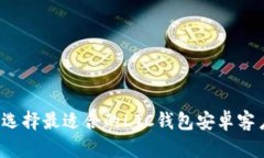 如何选择最适合的LTC钱包