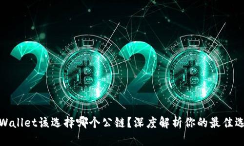 tpWallet该选择哪个公链？深度解析你的最佳选择